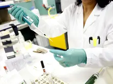 ZANETTI -AGENZIA BIANCHI-PADOVA - LABORATORI RICERCA