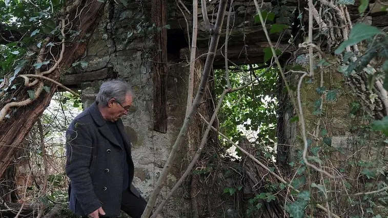 Prepotto 2 Marzo 2016. Marco Lesizza sui resti della stalla ormai coperta dai rovi dove, secondo i racconti del padre, avvenivamo le esecuzioni da parte dei partigiani alla fine della seconda guerra mondiale. Foto Petrussi