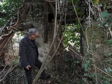 Prepotto 2 Marzo 2016. Marco Lesizza sui resti della stalla ormai coperta dai rovi dove, secondo i racconti del padre, avvenivamo le esecuzioni da parte dei partigiani alla fine della seconda guerra mondiale. Foto Petrussi