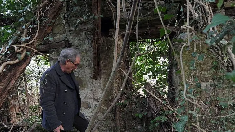 Prepotto 2 Marzo 2016. Marco Lesizza sui resti della stalla ormai coperta dai rovi dove, secondo i racconti del padre, avvenivamo le esecuzioni da parte dei partigiani alla fine della seconda guerra mondiale. Foto Petrussi