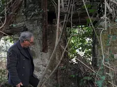 Prepotto 2 Marzo 2016. Marco Lesizza sui resti della stalla ormai coperta dai rovi dove, secondo i racconti del padre, avvenivamo le esecuzioni da parte dei partigiani alla fine della seconda guerra mondiale. Foto Petrussi