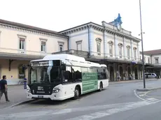 La discussione nata sull'autobus numero 5 a Udine