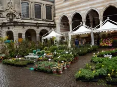 Udine 31 Marzo 2013 turisti bancarelle Coyright Petrussi Foto Press /turco