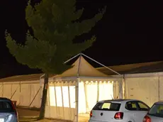 Orsaria 12 Febbraio 2018 fiori e tendone. Agenzia Petrussi foto Massimo Turco