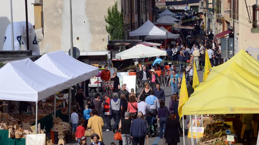 Udine 12 ottobre 2014 festa castagne Copyright Petrussi Foto Press Turco