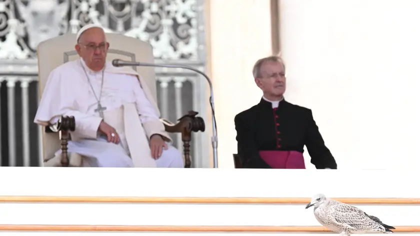 A seagull as Pope Francis he leads his Wednesday general audience in Saint Peter’s Square at the Vatican, 12 June 2024. ANSA/CLAUDIO PERI