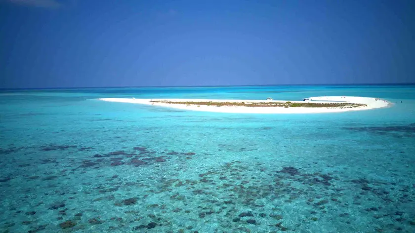 Maldive