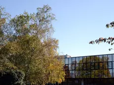 Tavagnacco 22 ottobre 2015 entrata impresa vidoni © Petrussi Foto Press Turco Massimo