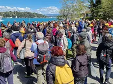 Esposto ambientalisti contro progetto stabilimento balneare e piscine all'Isola Palmaria