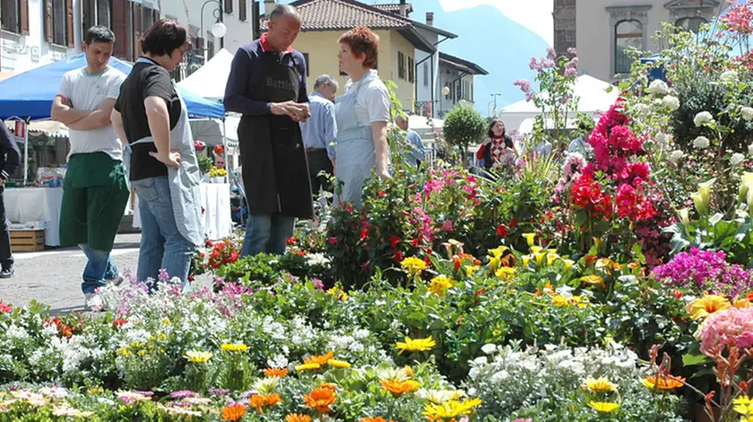 Tolmezzo 25 aprile 2010. Festa dei fiori. Telefoto Copyright / Foto Agency Anteprima Udine