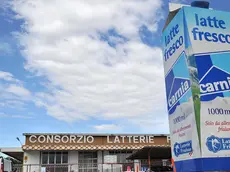 Campoformido (UD) 23/07/2011.Consorzio Latterie Friulane . Via P. Zorutti, 98..Telefoto Copyright Foto PFP / Ferraro Simone