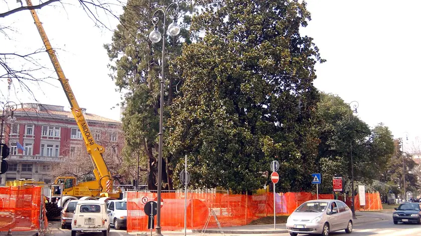 ANTEPRIMA piazza patriarcato