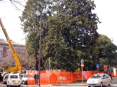 ANTEPRIMA piazza patriarcato