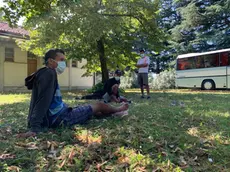 Migranti nordafricani nel giardino dell'ex ospedale psichiatrico di Udine: sullo sfondo uno dei bus che fa da "camera da letto"