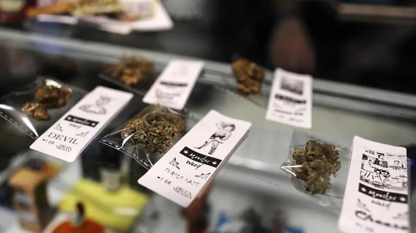 Prodotti realizzati con cannabis light e derivari dalla canapa in un negozio di Roma, 09 maggio 2019. ANSA/RICCARDO ANTIMIANI