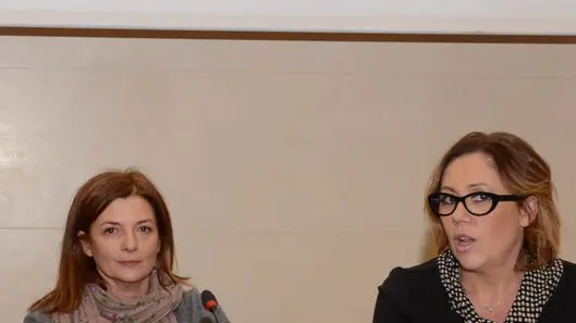 Udine 24 Novembre 2014 libro elena sala ajace Telefoto copyright Petrussi Foto Press Turco Massimo.