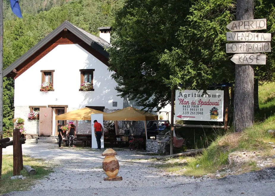 Dogna 5 Agosto 2017. Visita alla Malga di Plan di Spadovai. © Foto Petrussi -Soravito