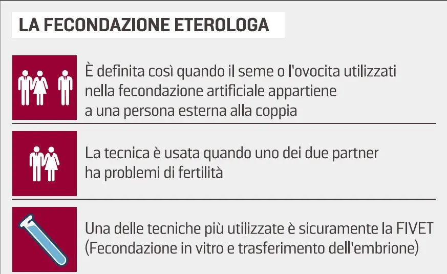 Che cos'è e come funziona la fecondazione eterologa