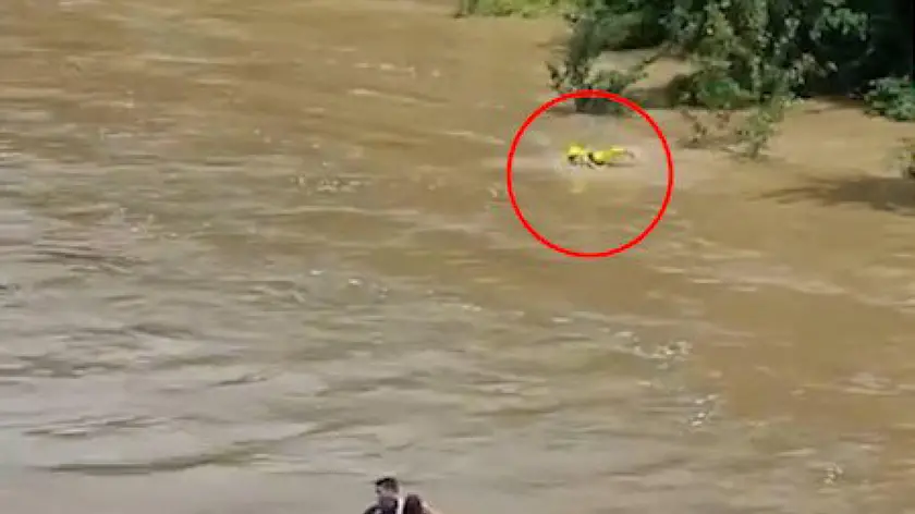 Frame di un video, girato da un passante anonimo dal ponte Romano, della tragedia del Natisone, in cui si vede il disperato tentativo di un vigile del fuoco di raggiungere i tre ragazzi stretti in un abbraccio al centro del fiume, il 31 maggio 2024. Nel filmato si vede il soccorritore nuotare con tutte le proprie forze a lato dei ragazzi per provare ad avvicinarsi ma, sebbene allenato a simili interventi, non riesce nell'intento e alla fine deve desistere per non rischiare di essere a propria volta travolto dalla furia del fiume. ANSA