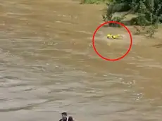 Frame di un video, girato da un passante anonimo dal ponte Romano, della tragedia del Natisone, in cui si vede il disperato tentativo di un vigile del fuoco di raggiungere i tre ragazzi stretti in un abbraccio al centro del fiume, il 31 maggio 2024. Nel filmato si vede il soccorritore nuotare con tutte le proprie forze a lato dei ragazzi per provare ad avvicinarsi ma, sebbene allenato a simili interventi, non riesce nell'intento e alla fine deve desistere per non rischiare di essere a propria volta travolto dalla furia del fiume. ANSA