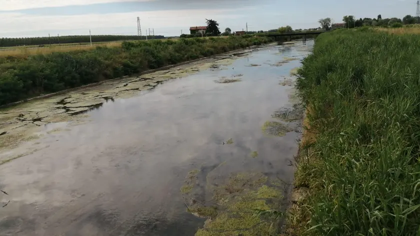 La situazione del Cormôr nella Bassa friulana nel tratto compreso tra Carlino e Muzzana del Turgnano