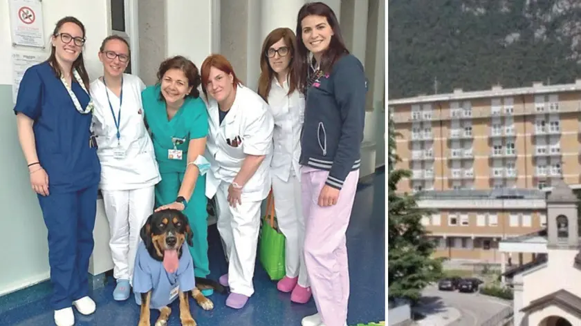 Il team che si occupa della Pet Therapy in Pediatria a Tolmezzo con il cane Mambo