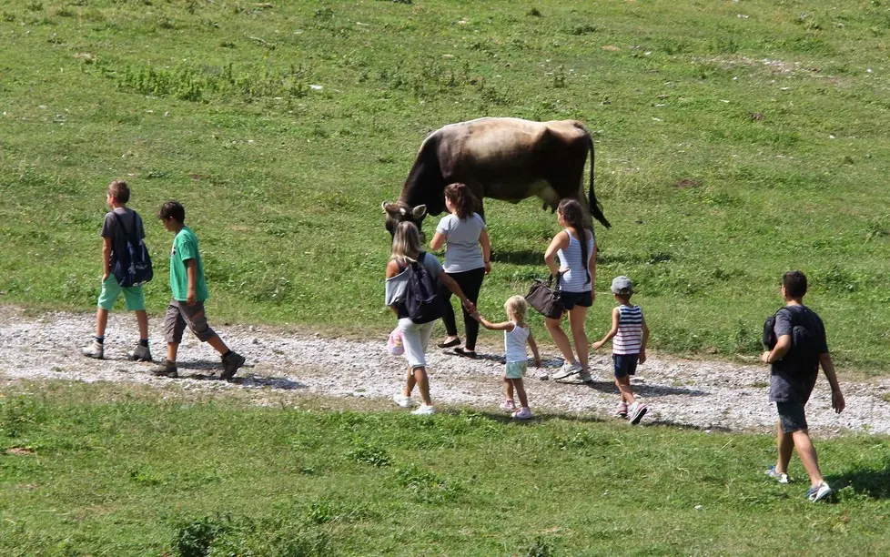 Dogna 5 Agosto 2017. Visita alla Malga di Plan di Spadovai. © Foto Petrussi -Soravito