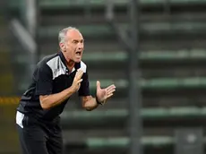 Valter Parisotto / LaPresse.22-08-2013 Trieste.Sport Calcio.Udinese-Slovan Liberec - Preliminari Europa League 2013/2014.Nella foto: Francesco Guidolin allenatore del Udinese..Valter Parisotto / LaPresse.22-08-2013 Trieste (Italy).Sport Soccer.Udinese- Slovan Liberec - Qualifyng Europa League 2013/2014.In the Photo: Francesco Guidolin coach of Udinese