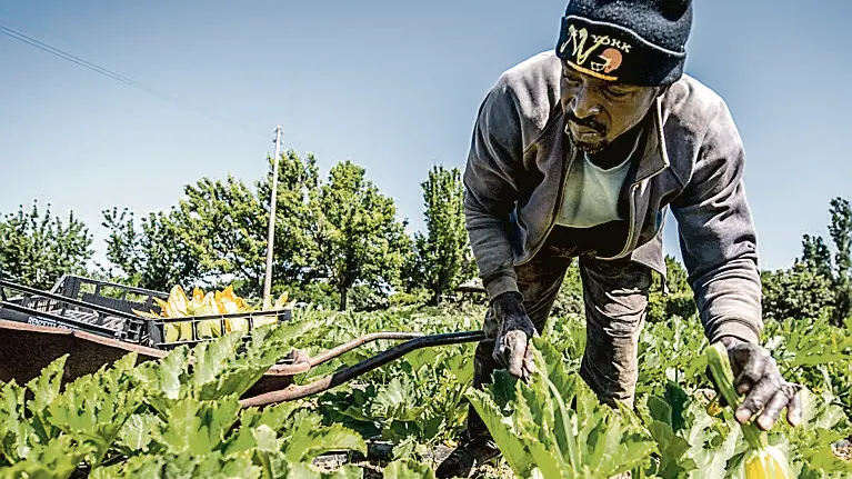 Anche in Friuli un protocollo anti caldo in agricoltura