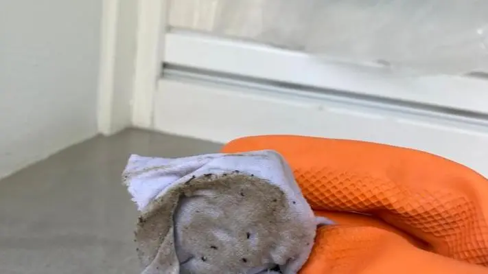 Il pulviscolo depositato sul davanzale della vicina di casa