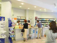 Bumbaca Gorizia 08.07.2008 Farmacia S. Andrea,prenotazioni on line- Foto di Pierluigi Bumbaca