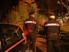 Un cadavere è stato trovato ieri sera dentro un'auto bruciata a Concordia sulla Secchia (Modena), in una zona isolata, 19 novembre 2022. Il corpo, all'interno del portabagagli, è completamente carbonizzato e non è stato ancora identificato. Ma dalle prime informazioni la macchina, un'utilitaria, appartiene a una giovane donna residente in provincia, 32 anni: il marito ne aveva denunciato la scomparsa due giorni fa. Indagini sono in corso da parte dei carabinieri della Compagnia di Carpi, coordinati dal pm Claudia Natalini. ANSA (NPK)