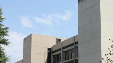 ANTEPRIMA maccagno e neonatologia