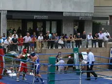 FOTO MISSINATO - BOX