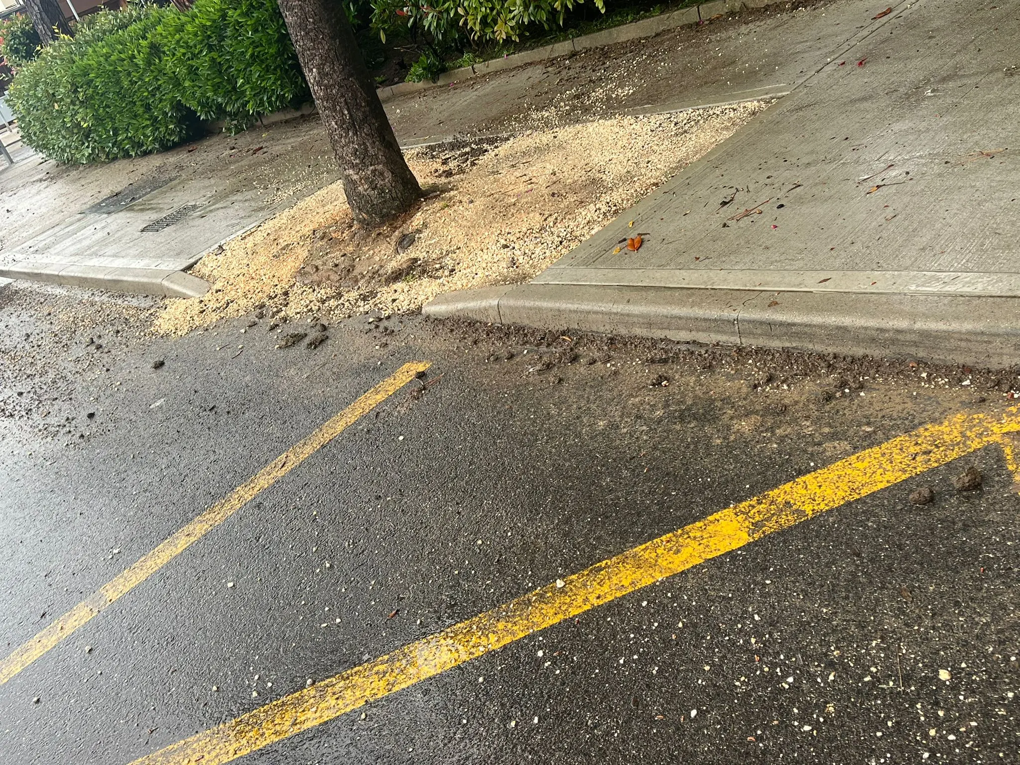 Una bomba d'acqua si è abbattuta nelle prime ore di venerdì mattina a Lignano: la località balneare è finita sott'acqua. Sono stati attivati 28 volontari con 9 automezzi per la gestione delle problematiche conseguenti all’evento meteo e il monitoraggio del territorio