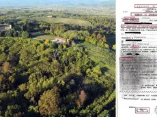 Premariacco 25 Febbraio 2016. Zona boschiva sotto la Rocca Bernarda. Foto Petrussi