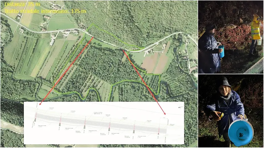 Il progetto dei tunnel. A destra, i volontari alzano delle barriere per salvare gli anfibi a bordo strada per poi trasferirli con i secchi