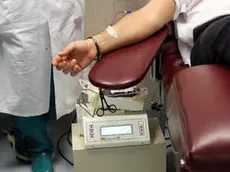 20070401 - CRO - ROMA - MEDICINA:TROVATI ENZIMI PER CREARE SANGUE ZERO UNIVERSALE - (EMBARGO FINO ALLE ORE 19 DI OGGI 1 APRILE) - Un'immagine d'archivio del 2005, relativa a sangue e trasfusioni. Scoperti in due batteri gli enzimi capaci di convertire il sangue dei gruppi A, B, AB in gruppo ..zero, ovvero quello dei cosiddetti donatori universali perche' utilizzabile per le trasfusioni su soggetti di qualsiasi altro gruppo sanguigno. VIRGINIA FARNETI / ARCHIVIO-ANSA/BGG..