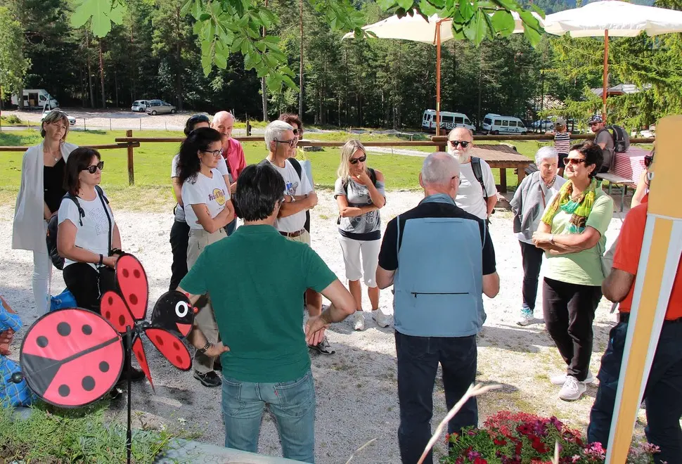 Dogna 5 Agosto 2017. Visita alla Malga di Plan di Spadovai. © Foto Petrussi -Soravito