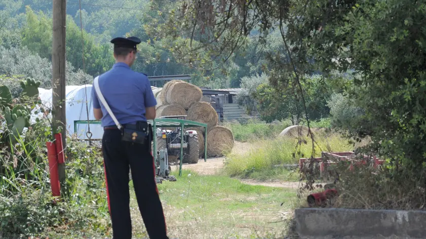 Carabinieri nei pressi del luogo in cui una bimba di 3 anni e' morta dopo essere stata travolta da una balla di fieno, oggi 12 agosto 2010 a Giungano, nel Salernitano. La tragedia e' avvenuta intorno a mezzogiorno in una piccola azienda agricola a conduzione familiare, in localita' San Giuseppe. Secondo una prima ricostruzione dei fatti, al momento della tragedia una persona, a bordo di un trattore, stava scaricando alcune grosse ''rotoballe'' di fieno da un camion. Due di esse, sarebbero improvvisamente cadute dal camion finendo a terra e travolgendo la bimba. Trasportata all'ospedale civile di Agropoli, la bambina e' morta subito dopo il ricovero a causa delle gravi ferite riportate. ANSA/PASQUALE STANZIONE