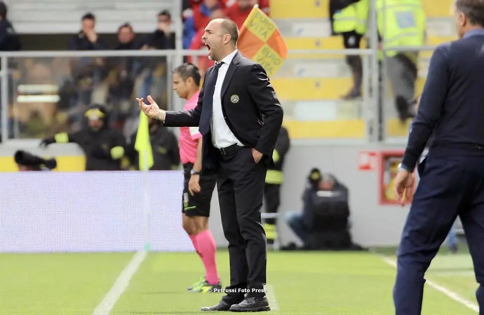 Frosinone 12 Maggio 2019. Calcio Serie A. Frosinone-Udinese. © Foto Petrussi