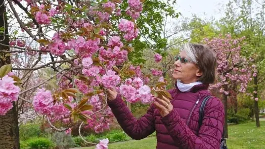 Liliana Resinovich era scomparsa il 14 dicembre 2021: il suo cadavere fu rinvenuto il 5 gennaio 2022