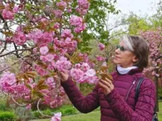 Liliana Resinovich era scomparsa il 14 dicembre 2021: il suo cadavere fu rinvenuto il 5 gennaio 2022