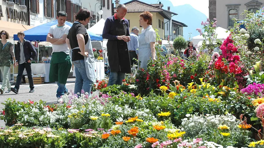 Tolmezzo 25 aprile 2010. Festa dei fiori. Telefoto Copyright / Foto Agency Anteprima Udine