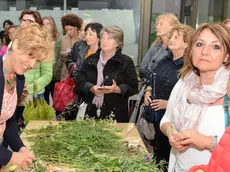 Udine 23 Giugno 2015 il mazzetto di san giovanni Foto Press TURCO MASSIMO