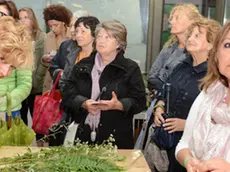 Udine 23 Giugno 2015 il mazzetto di san giovanni Foto Press TURCO MASSIMO