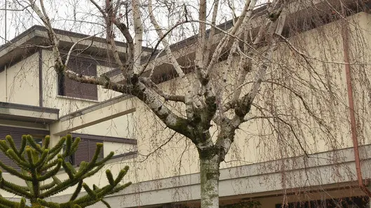 Osoppo 03 Marzo 2018 centro sociale Agenzia Petrussi foto Massimo Turco