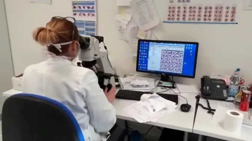 E' 'blindato' da venerd?? 21 febbraio, quando ?? esploso il contagio da Coronavirus, ma ?? pienamente operativo anche oggi l'ospedale di Schiavonia (Padova). Dentro vi sono 150 pazienti, in quarantena ma nessuno positivo al virus, e 150-200 tra medici e infermieri, che possono uscire e rientrare per i turni, facendo ogni volta il tampone. "Sul nastro trasportatore le provette si susseguono una dopo l'altra, fermandosi per pochi attimi nelle 'stazioni' di processo, dove un sistema automatizzato provvede con azioni robotiche a centrifugarle, stapparle, prelevare il campione da analizzare, inviarle alla stazione successiva, per poi chiuderle e riporle in un frigorifero" scrive in un post su Fb il direttore dell'Ulss 6 Euganea, Domenico Scibetta, elogiando gli 'angeli' con il camice..ANSA/US ULSS