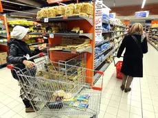Una persona fa la spesa al supermercato, Bologna, 12 novembre 2014. ANSA/GIORGIO BENVENUTI