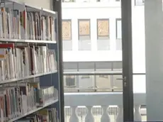 FOTO MISSINATO - BIBLIOTECA